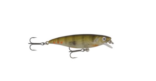 57379-8cm-8.5g-03-Perch-600x312.jpg