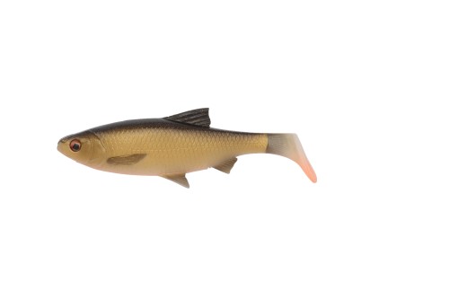 5744957454_3D-River-Roach-Dirty-Roach.jpg