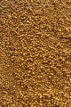 Micro-Pellets-Kwas-Maslowy-2mm-Feeder-Bait_[2368]_780.jpg