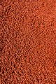 Micro-Pellet-2mm-Truskawka-Feeder-Bait_[2363]_780.jpg