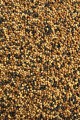Pellet-Prestige-Natural-2mm-Feeder-Bait_[2348]_780.jpg