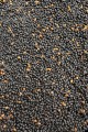 Pellet-Prestige-Dark-Natural-2mm-Feeder-Bait_[2344]_780.jpg