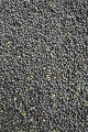 Pellet-Prestige-Dark-Sweet-2mm-Feeder-Bait_[2342]_780.jpg