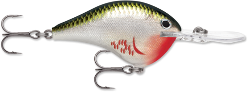 Rapala Wobler DT-12 Dives-To Kolor - Bleeding Olive Shiner dt12bos.png