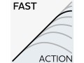 fast (1).jpg