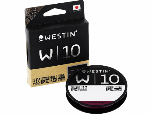 w10-purple-rmrybkapl.png