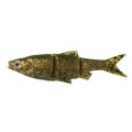 61889-7.5cm-4g-70pcs-Muddy-Roach.jpg
