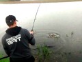 Nevis-Vanity-Carp-Feeder-3-30m-c-w-30-90g_[248]_1200.jpg