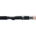 intensa-gtx-gruntowe (1).jpg