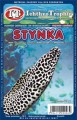 stinte.jpg